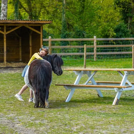 Europarcs Hoge Kempen 3*